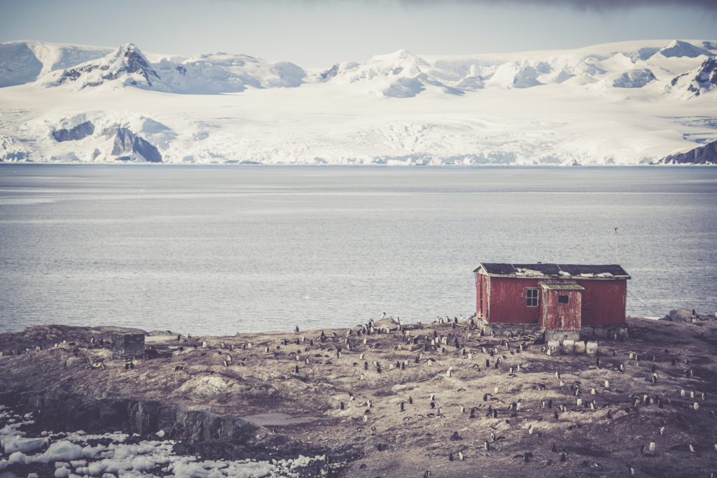 Reisverslag Antarctica | Frank Devos Reizen Brugge - Mijn Reisagent