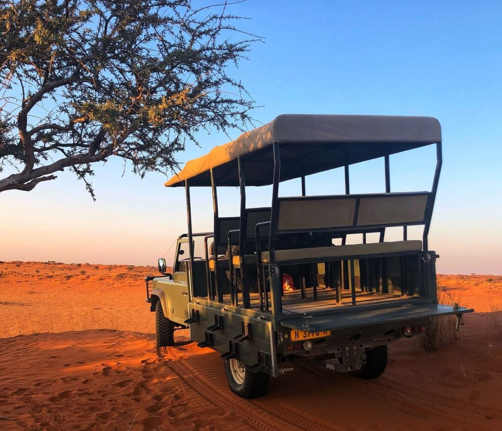 Op safari in Namibië