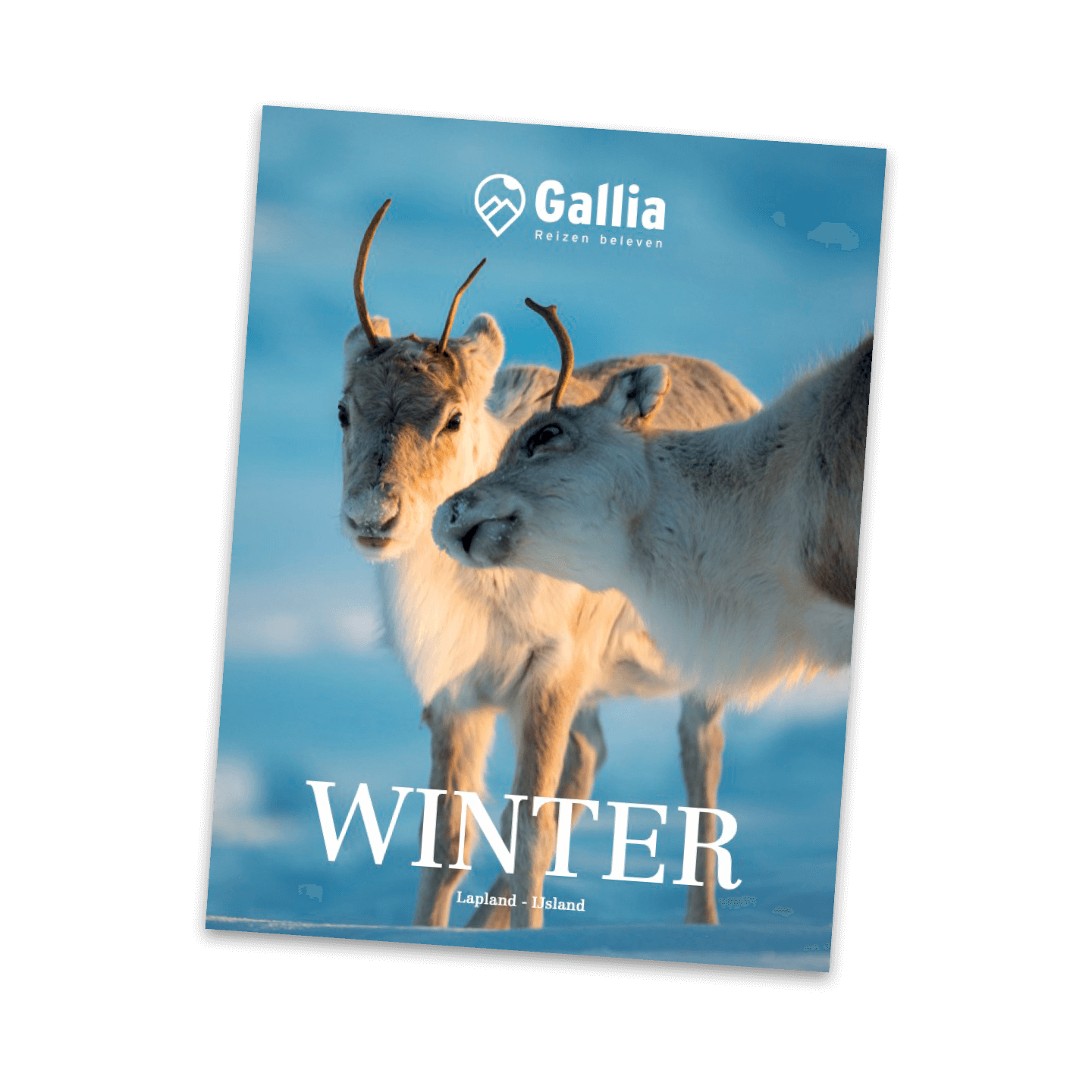 gallia-2024-2025-brochure-bib-visual-500X500